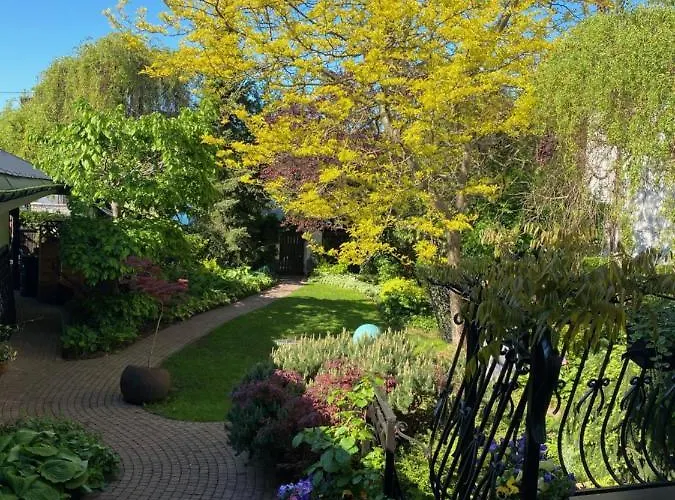 House Of Art * Lomianki